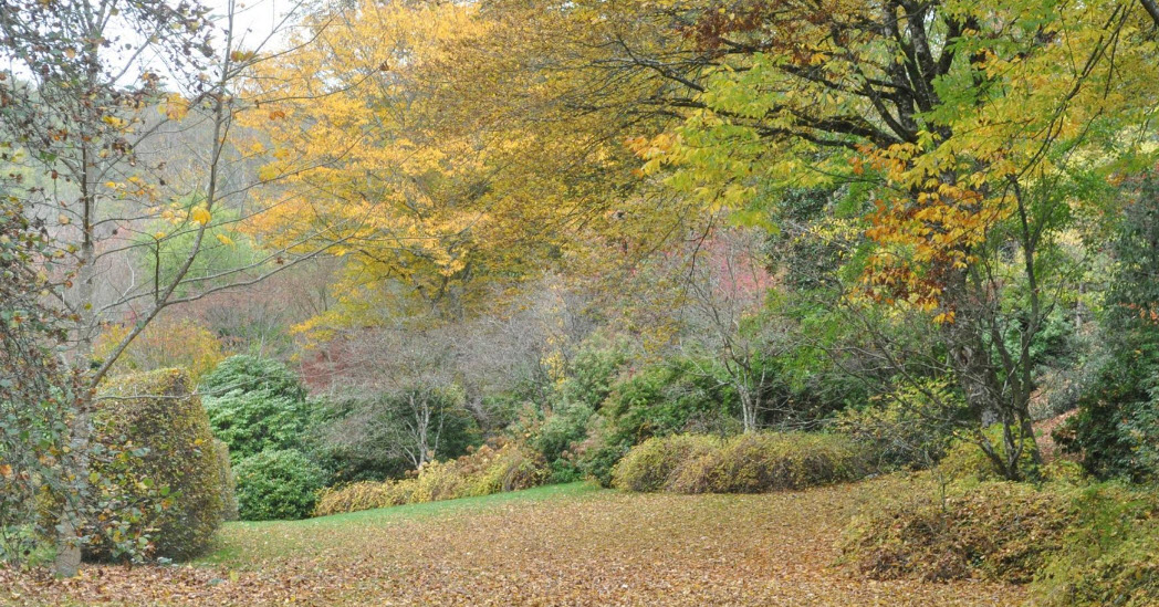 Arboretum de la Sédelle, Crozant, France, France